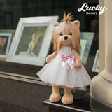 Lucky doggy Orange Toys