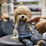 Lucky doggy Orange Toys
