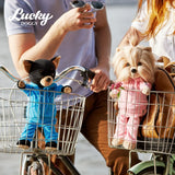 Lucky doggy Orange Toys