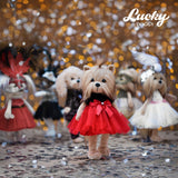 Lucky doggy Orange Toys